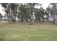 1-7 McCubbin Court, New Beith QLD 4124