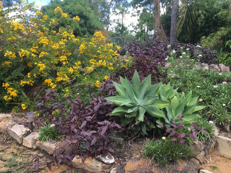 105-111 Drover Crescent, Jimboomba QLD 4280