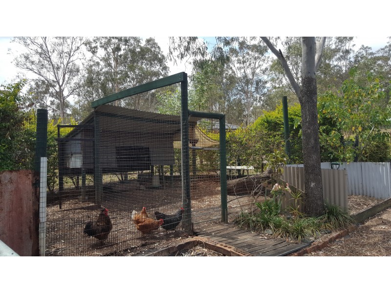 31 Flametree Court, Cedar Grove QLD 4285