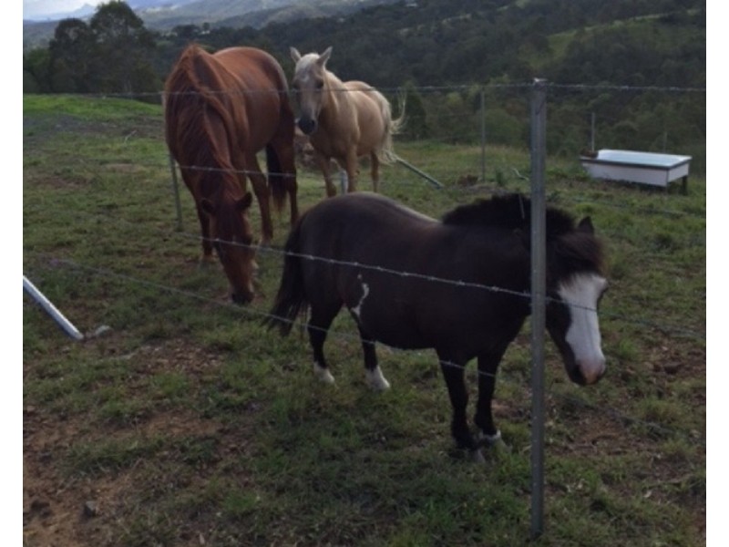 89-117 Merton Close, Kooralbyn QLD 4285