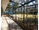 695 Camp Cable Road, Logan Village QLD 4207
