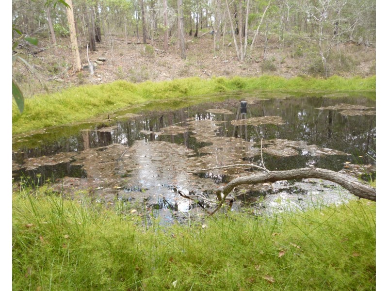 21 Pinkwood Street, Cedar Vale QLD 4285