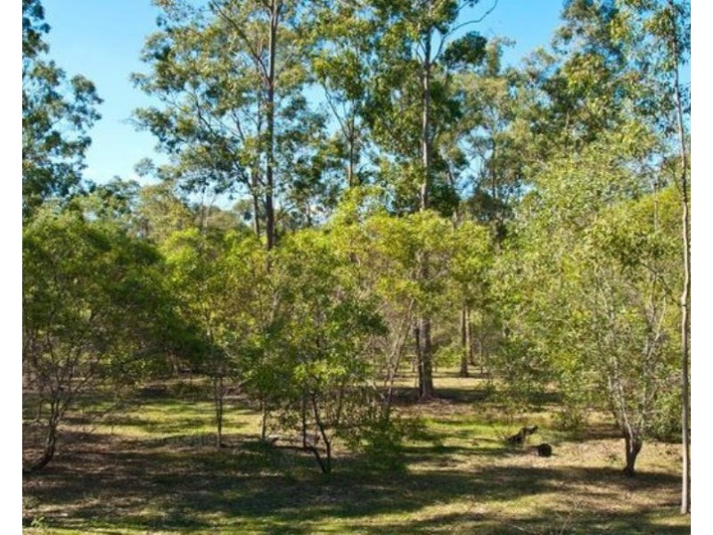 1-17 Round Ridge Road, Jimboomba QLD 4280