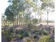 51 Tequesta Drive, Beaudesert QLD 4285