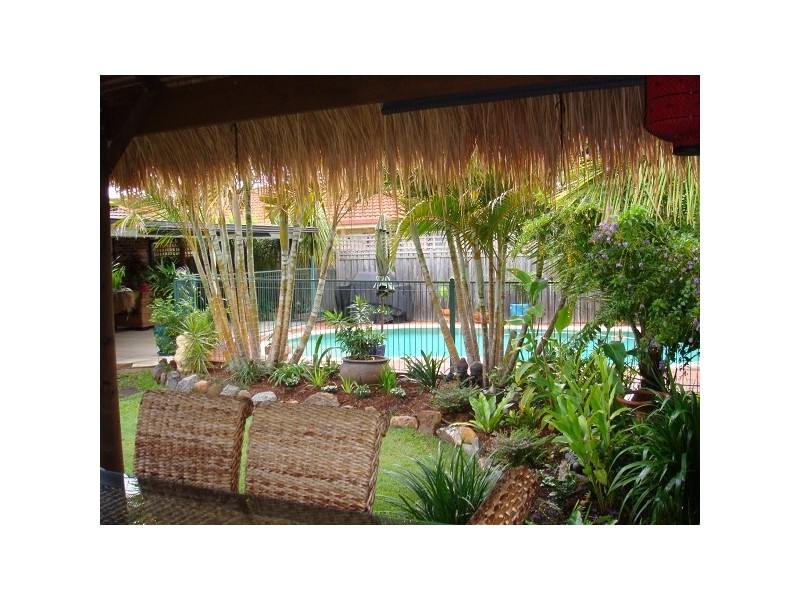 41 Ottelia Drive, Elanora QLD 4221