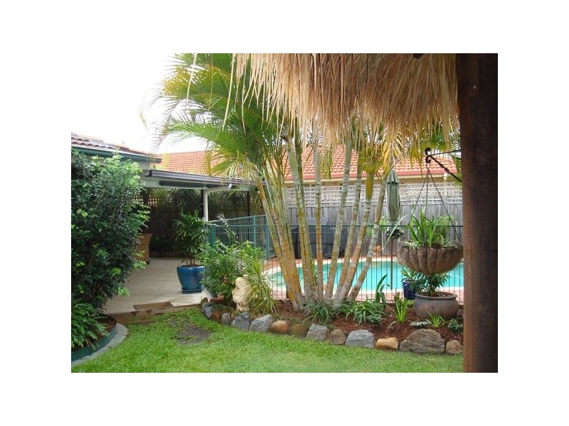 41 Ottelia Drive, Elanora QLD 4221