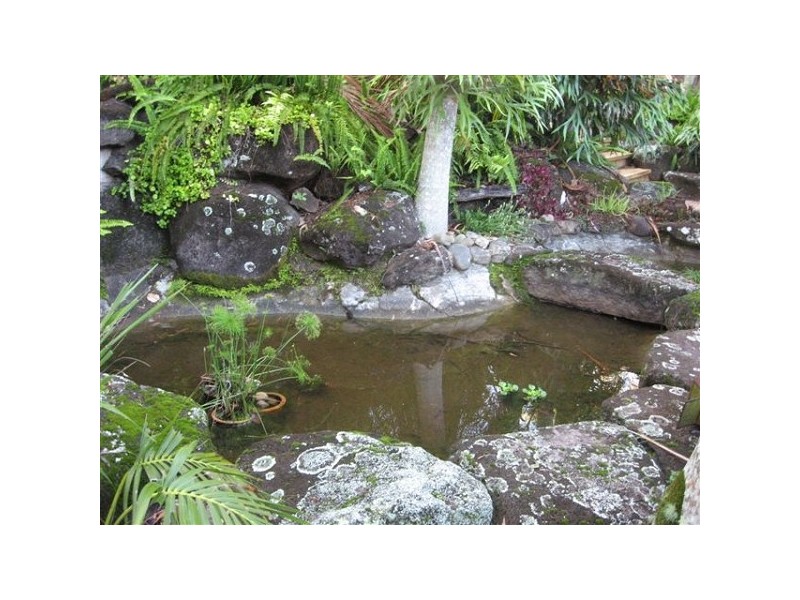 56 Coorabin Court, Tallebudgera QLD 4228