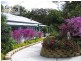 52 Coorabin Court, Tallebudgera QLD 4228