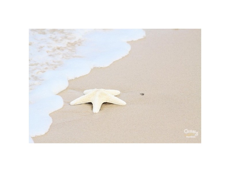 6/479 Golden Four Drive, Tugun QLD 4224