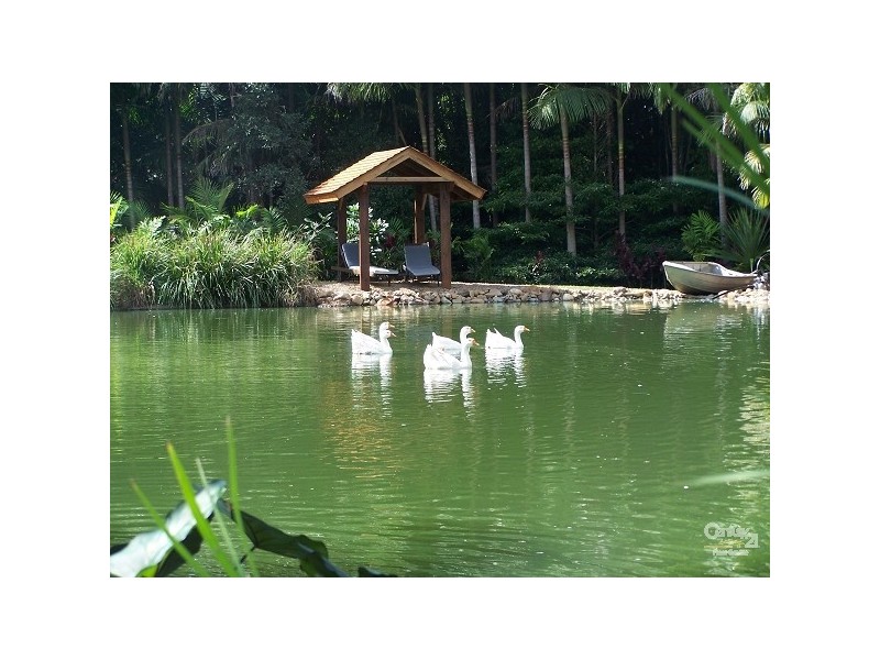 Currumbin Valley QLD 4223