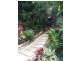 Currumbin Valley QLD 4223