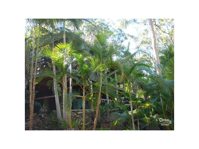 Tallebudgera QLD 4228