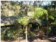 Tallebudgera QLD 4228