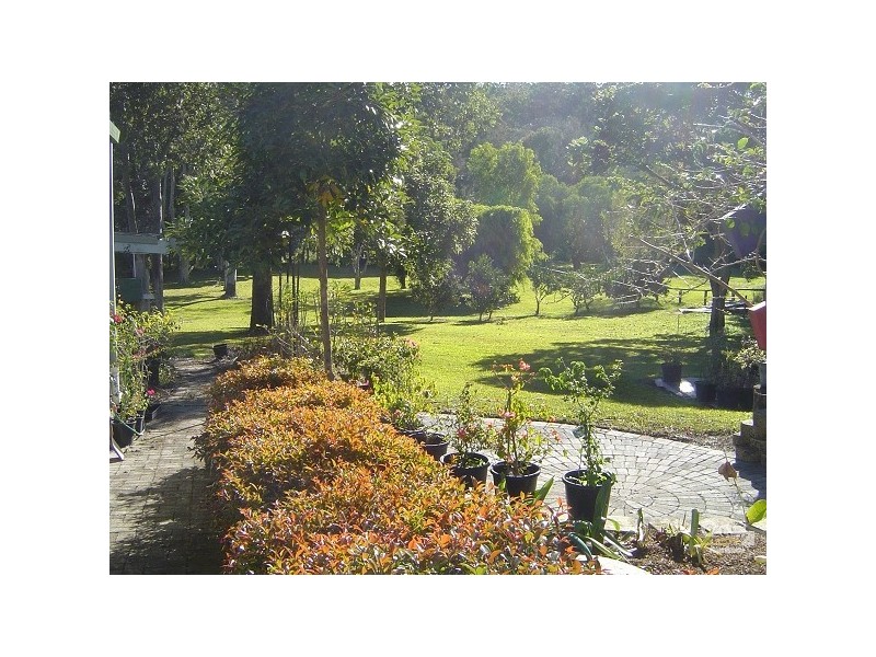 52 Coorabin Court, Tallebudgera QLD 4228