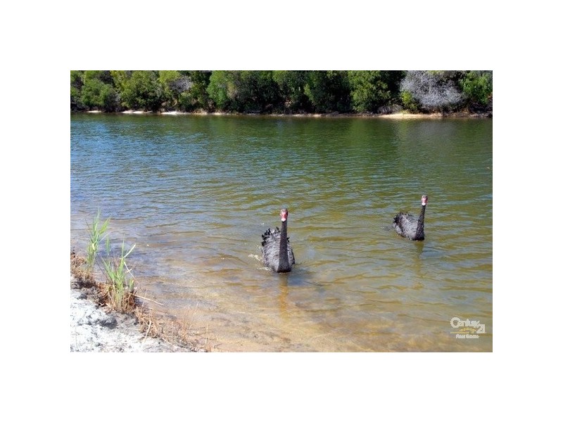 42 Pacific Paradise Resort, Mudjimba QLD 4564