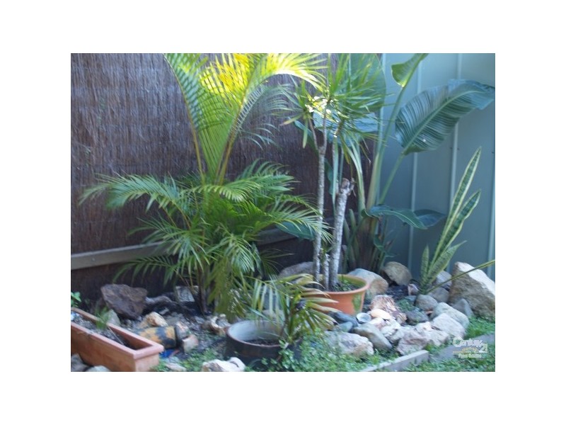 2/6 Moomba Street, Pacific Paradise QLD 4564