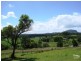 51 Twin Peaks Road, Bli Bli QLD 4560