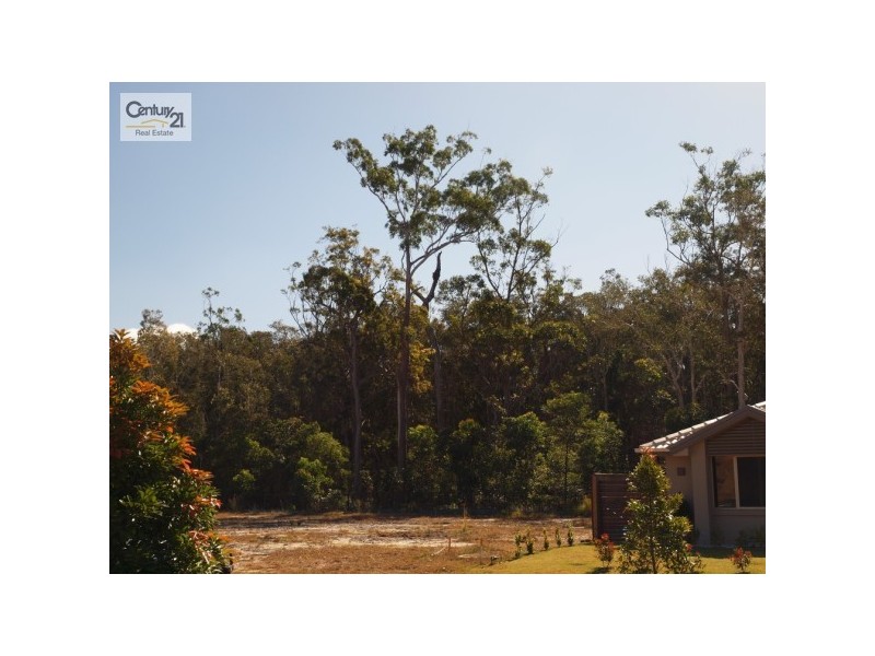 16 Glen Abby Avenue, Peregian Springs QLD 4573