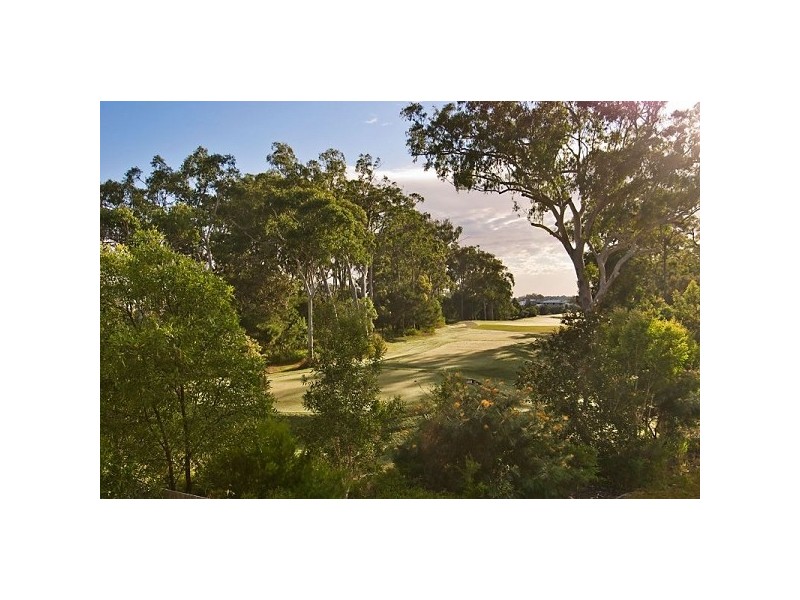 91 The Avenue, Peregian Springs QLD 4573