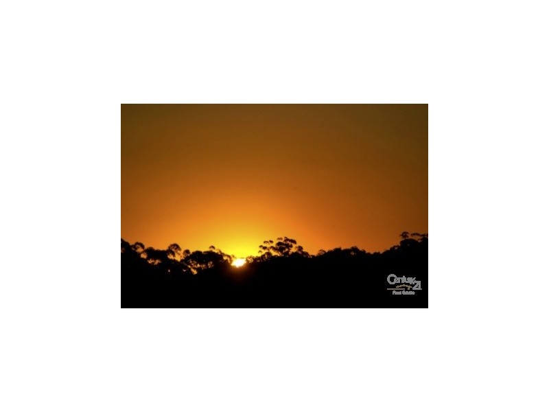 18 Maddens Crescent, Peregian Springs QLD 4573