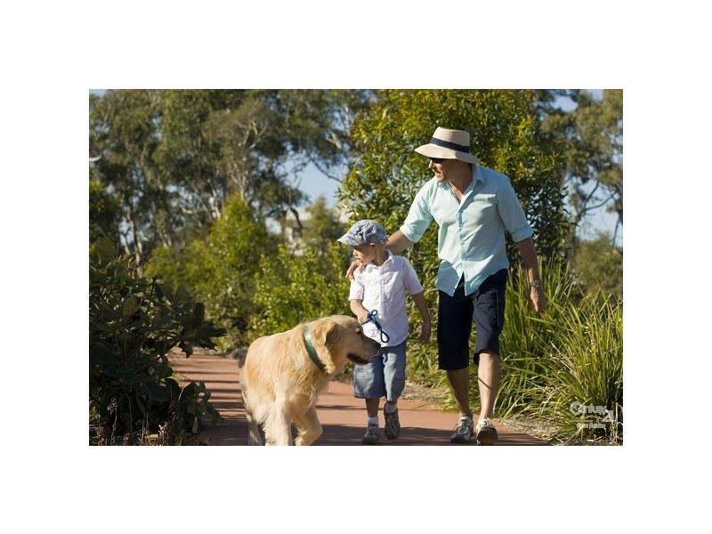 38 Maidstone Crescent, Peregian Springs QLD 4573