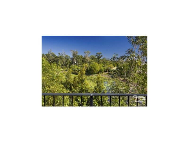 15 Eagleford Court, Peregian Springs QLD 4573