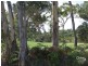 Lot 4328 Augusta Circuit, Peregian Springs QLD 4573