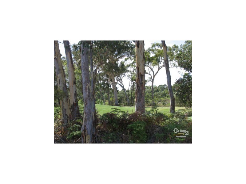 Lot 4328 Augusta Circuit, Peregian Springs QLD 4573