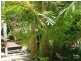 22 Oakland Drive, Tewantin QLD 4565