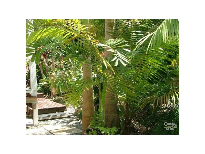 22 Oakland Drive, Tewantin QLD 4565