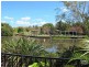 1 Nypa Place, Robina QLD 4226