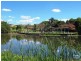 1 Nypa Place, Robina QLD 4226