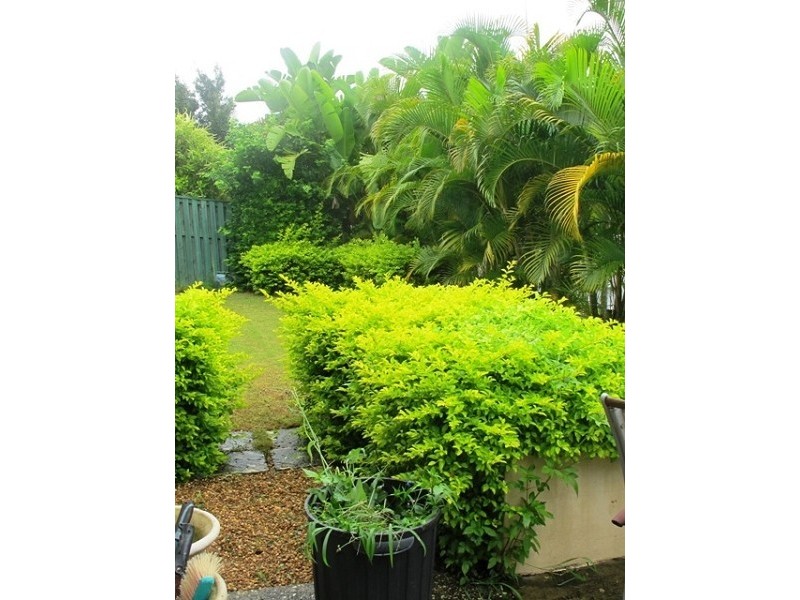 9/3 Camphor Wood ct, Robina QLD 4226