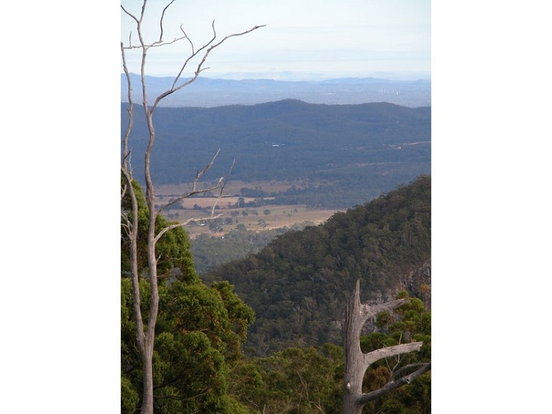 Tamborine Mountain QLD 4272