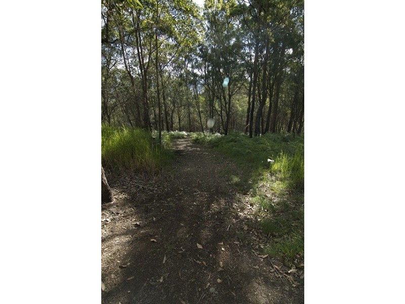 Tamborine Mountain QLD 4272