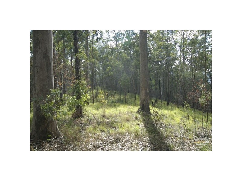 Tamborine Mountain QLD 4272