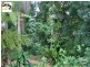 52 Macdonnell Road, Tamborine Mountain QLD 4272