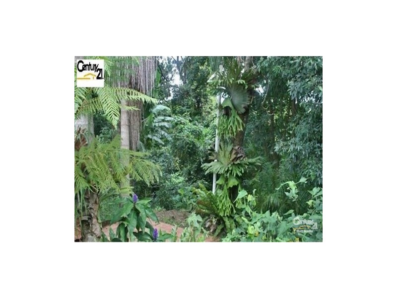 52 Macdonnell Road, Tamborine Mountain QLD 4272