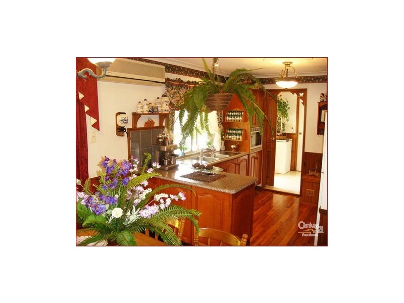 53 Long Road, Tamborine Mountain QLD 4272