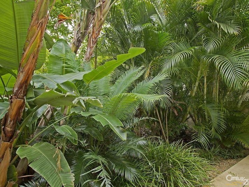 4151 Archer Hill, Benowa QLD 4217