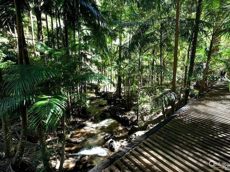 108 Wongawallan Road, Tamborine Mountain QLD 4272