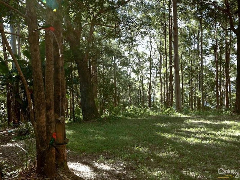 108 Wongawallan Road, Tamborine Mountain QLD 4272