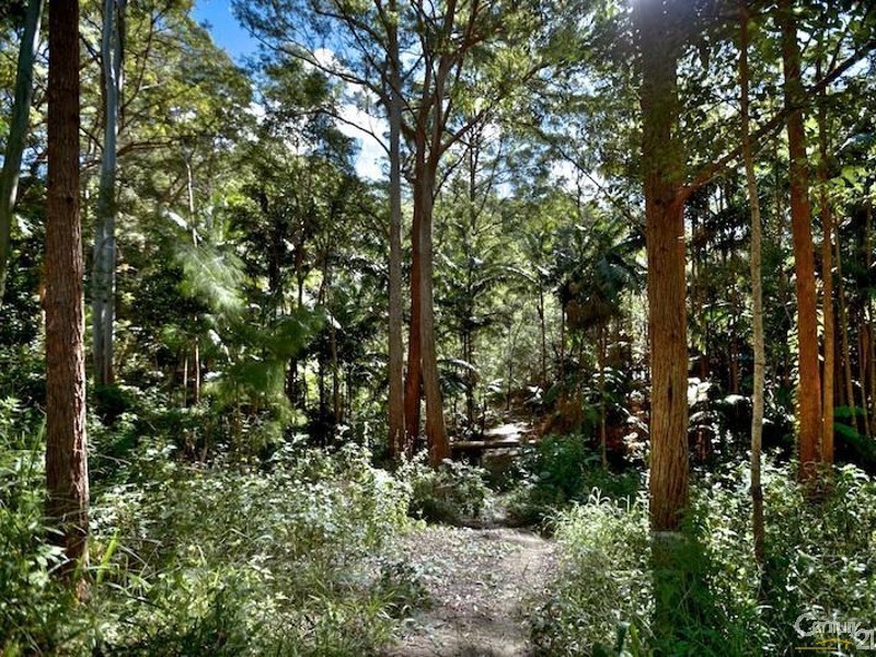 108 Wongawallan Road, Tamborine Mountain QLD 4272