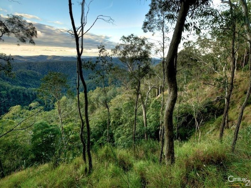 108 Wongawallan Road, Tamborine Mountain QLD 4272