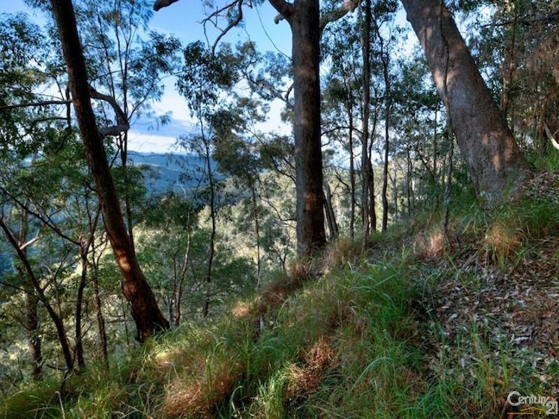 108 Wongawallan Road, Tamborine Mountain QLD 4272