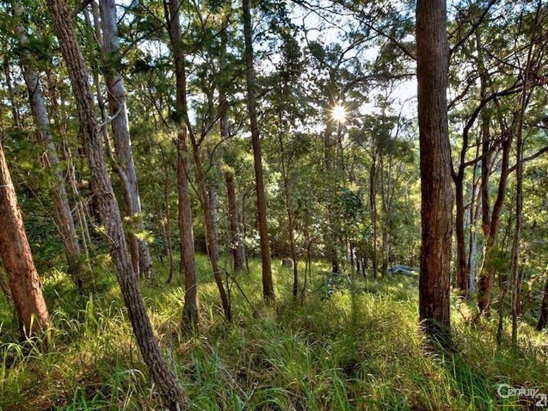 108 Wongawallan Road, Tamborine Mountain QLD 4272