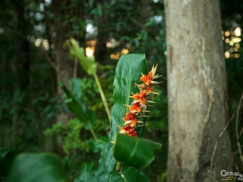 108 Wongawallan Road, Tamborine Mountain QLD 4272