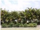 7024 Vista Drive, Benowa QLD 4217