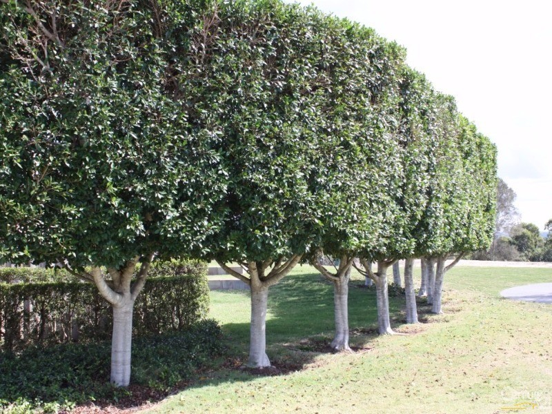 Lot 27-32 The Boulevarde, Benowa QLD 4217