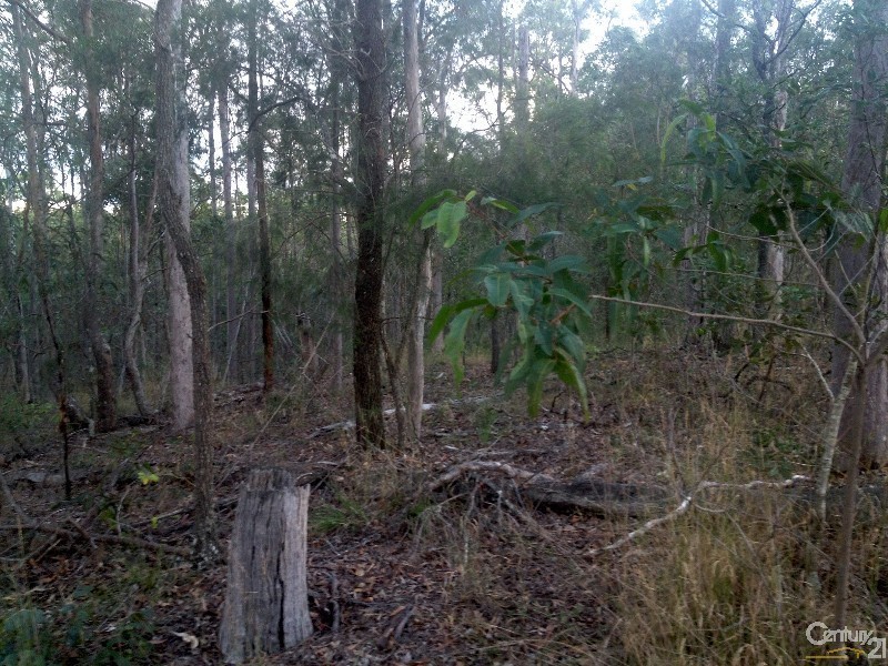 135 Hipathites Road, Samsonvale QLD 4520